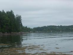 View from the shoreline of our rental cottage