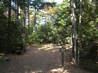 North Loop Hiking Trail Pineland Recreational Area Maine
