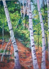 Painting of Maine Birch Trees by Ruth Friberg