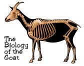 Biology of the Goat