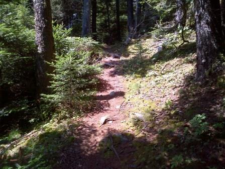 Eastern Knubble Trail